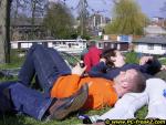 tn_gallery_1_69_48199.jpg