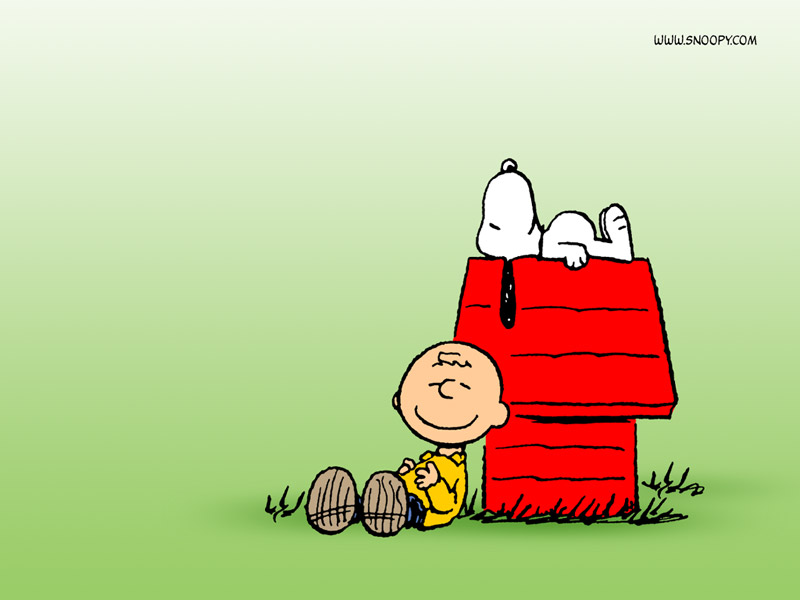 chucksnoopy2_800x600.jpg