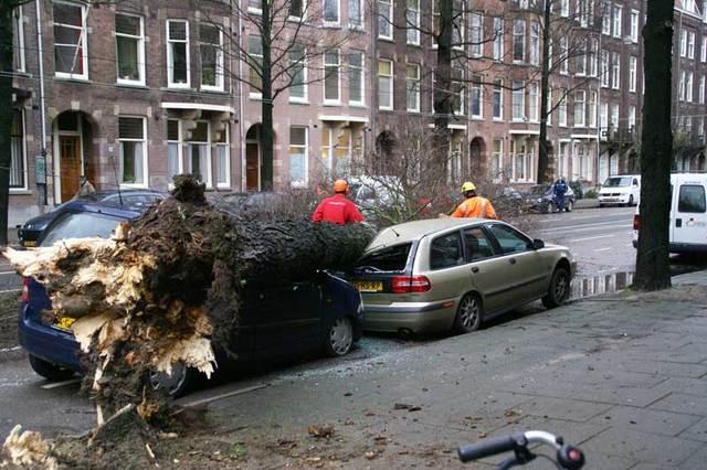 Boom valt op auto, Laraissestraat Amsterdam.jpg
