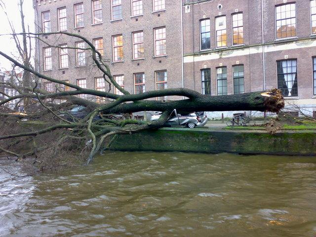 Boom valt op auto in Amsterdam.jpg