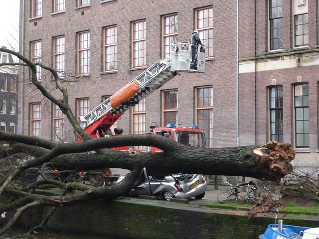 Boom omgewaaid op Leidsegracht, Amsterdam.jpg